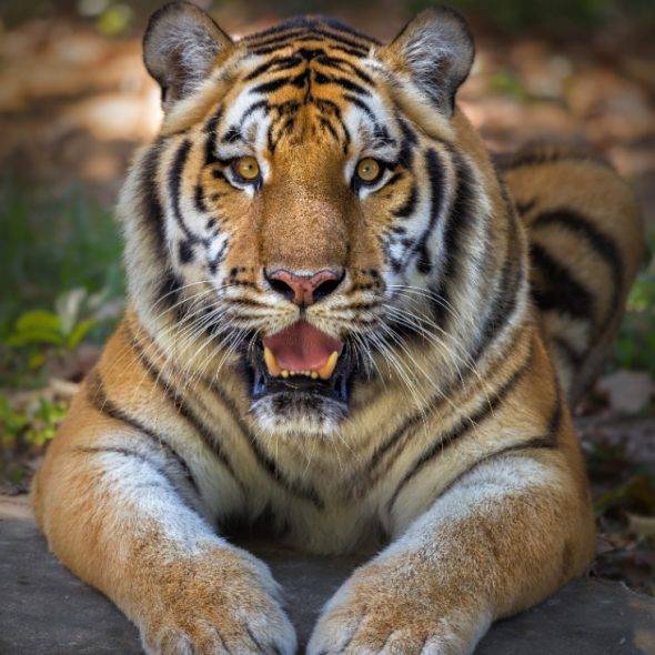 testbyparth@gmail.com